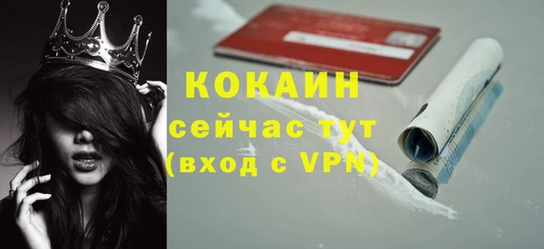 твердый Балахна