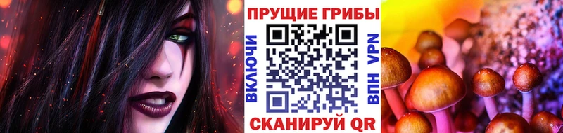 блэк спрут ONION  Ершов  Галлюциногенные грибы MAGIC MUSHROOMS 